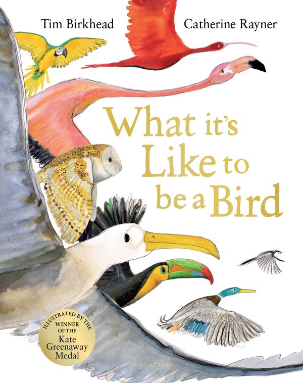 Cover Art for 9781526604125, What it is Like to be a Bird by Tim Birkhead