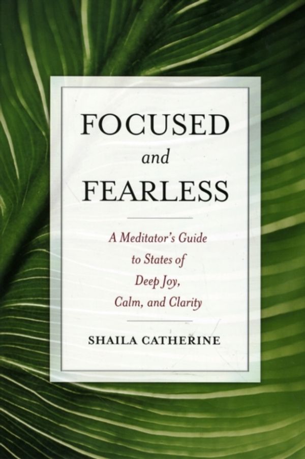 Cover Art for 9780861715602, Focused and Fearless by Shaila Catherine