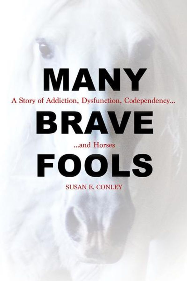 Cover Art for 9781570768873, Many Brave FoolsA Story of Addiction, Dysfunction, Codependency... by Susan E. Conley
