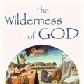 Cover Art for 9780232524970, The Wilderness of God by Andrew Louth