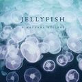 Cover Art for 9780226287676, Jellyfish: A Natural History by Lisa-ann Gershwin