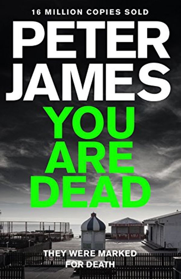 Cover Art for 9781447287971, You are Dead by Peter James
