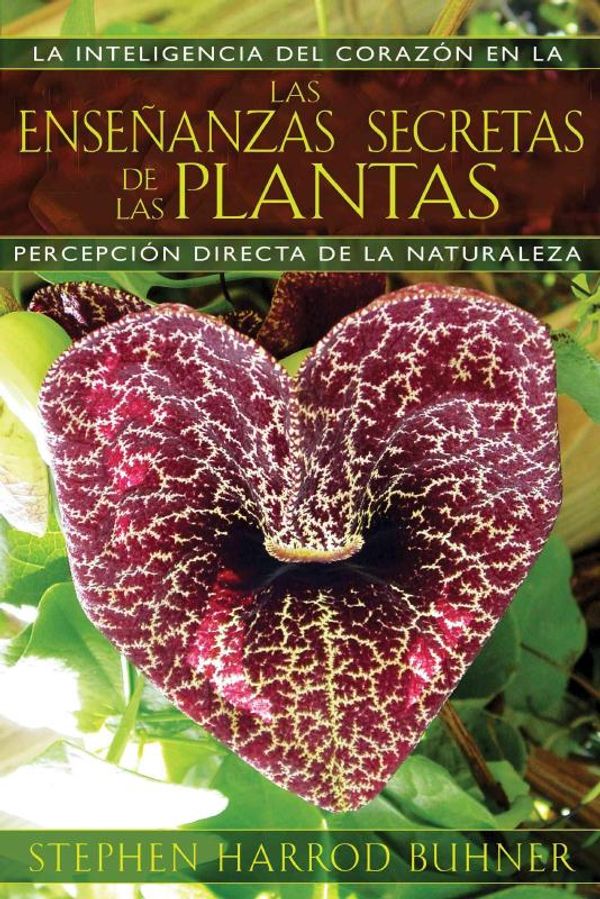 Cover Art for 9781594774140, Las Ensenanzas Secretas de las Plantas by Stephen Harrod Buhner