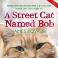 Cover Art for 9781444791013, A Street Cat Named Bob by James Bowen