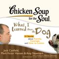 Cover Art for 9781441896711, Chicken Soup for the Soul: What I Learned from the Dog - 31 Stories about Family, Courage, and How to Listen by Jack Canfield, Joyce Bean and Phil Gigante
