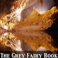 Cover Art for 9782819919032, The Grey Fairy Book by Andrew Lang