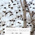 Cover Art for 9780307268464, The Wind Blows Through the Doors of My Heart by Deborah Digges