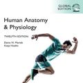 Cover Art for 9781292421803, Human Anatomy & Physiology [Global Edition] by Elaine Marieb, Katja Hoehn