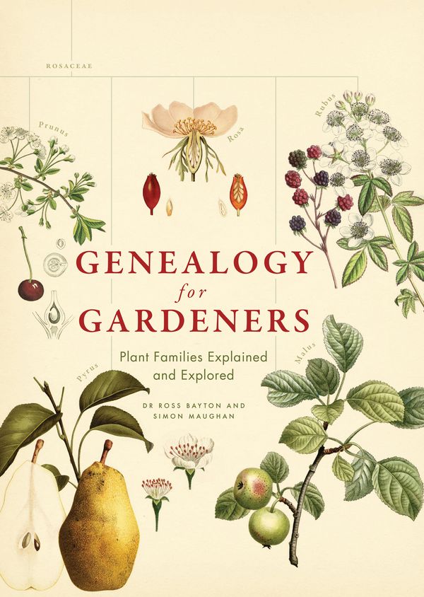 Cover Art for 9781760630508, Genealogy for Gardeners by Simon Maughan