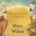 Cover Art for 9780738305806, Many Waters by Madeleine L'Engle