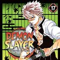 Cover Art for B08JTV5N5J, Demon Slayer: Kimetsu no Yaiba, Vol. 17: Successors by Koyoharu Gotouge