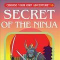 Cover Art for 9781933390161, Secret of the Ninja by Jay Leibold