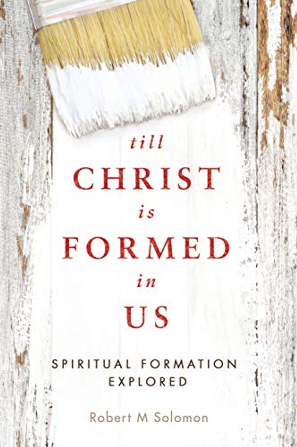 Cover Art for 9789814807968, till Christ is Formed in Us by Robert M Solomon