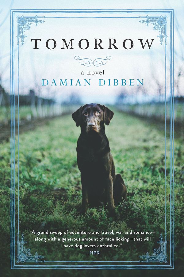 Cover Art for 9781488080555, Tomorrow by Damian Dibben