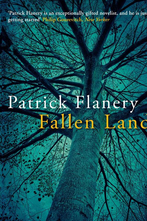 Cover Art for 9780857898784, Fallen Land by Patrick Flanery