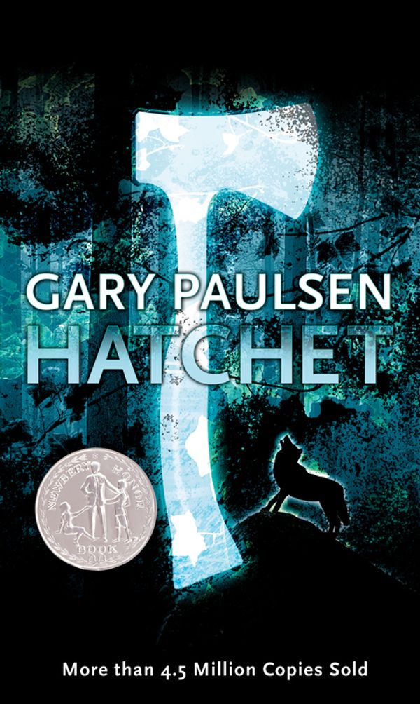 Cover Art for 9781416936466, Hatchet by Gary Paulsen