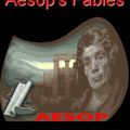 Cover Art for 9781412156851, Aesop's Fables by eBooksLib