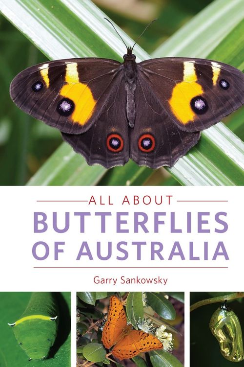 Cover Art for 9781921517433, All About Butterflies of Australia by Garry Sankowsky