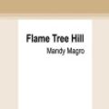 Cover Art for 9780369331250, Flame Tree Hill by Mandy Magro