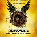 Cover Art for 9781781107041, Harry Potter and the Cursed Child – Parts One and Two (Special Rehearsal Edition) by Jack Thorne