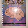 Cover Art for 9780323011266, The Human Brain in Photographs and Diagrams by John Nolte, Jay B. Angevine