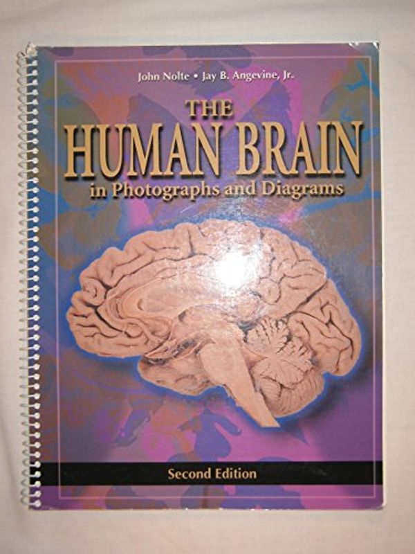Cover Art for 9780323011266, The Human Brain in Photographs and Diagrams by John Nolte, Jay B. Angevine