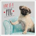 Cover Art for 9781786858283, Love is a Pug: A Pugtastic Celebration of The World's Cutest Dogs by Charlie Ellis