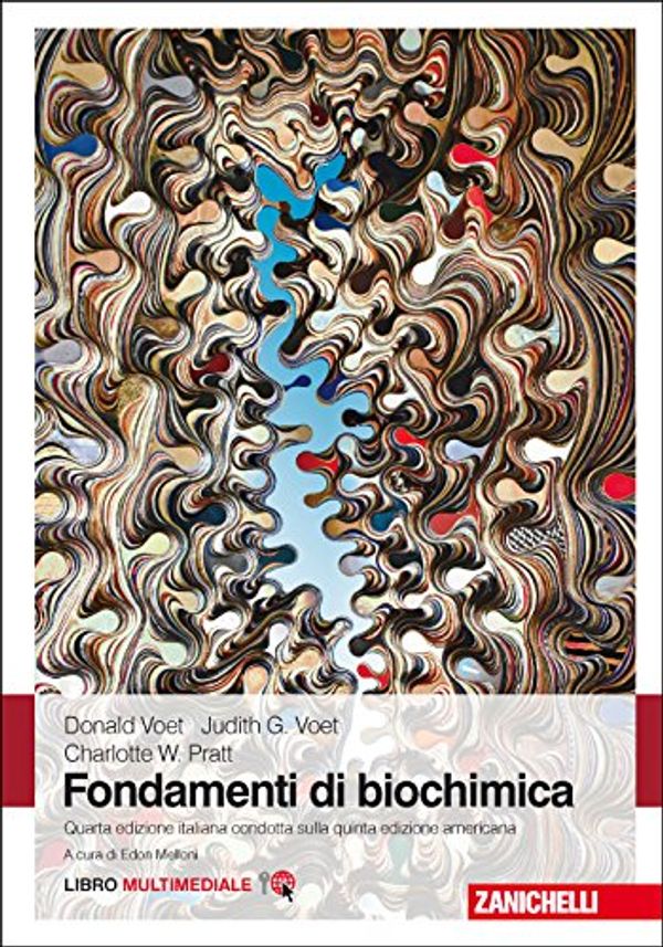 Cover Art for 9788808420961, Fondamenti di biochimica. Con e-book by Donald Voet, Judith G. Voet, Charlotte W. Pratt