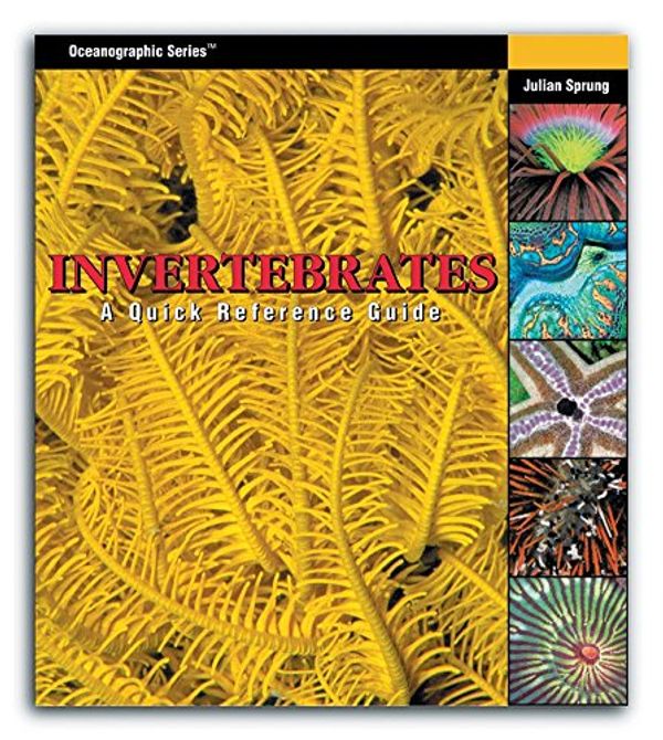 Cover Art for 9781883693008, Invertebrates by Julian Sprung