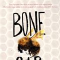 Cover Art for 9780062317605, Bone Gap by Laura Ruby