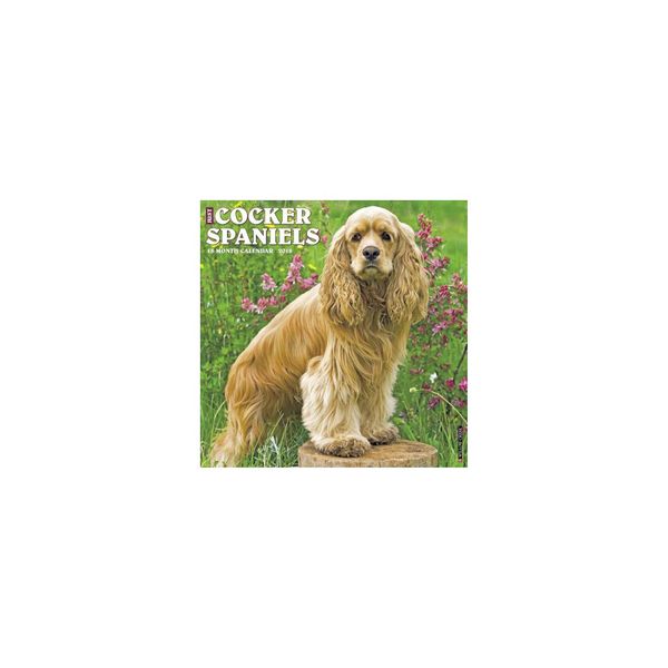 Cover Art for 9781682344606, Just Cocker Spaniels 2018 Calendar by Willow Creek Press
