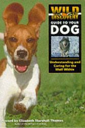 Cover Art for 9780297825715, Wild Discovery Guide To Your Dog by Margaret Lewis