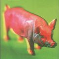 Cover Art for 9780749317249, Animal Farm CB by George Orwell