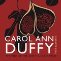 Cover Art for 9780330474054, Rapture by Carol Ann Duffy