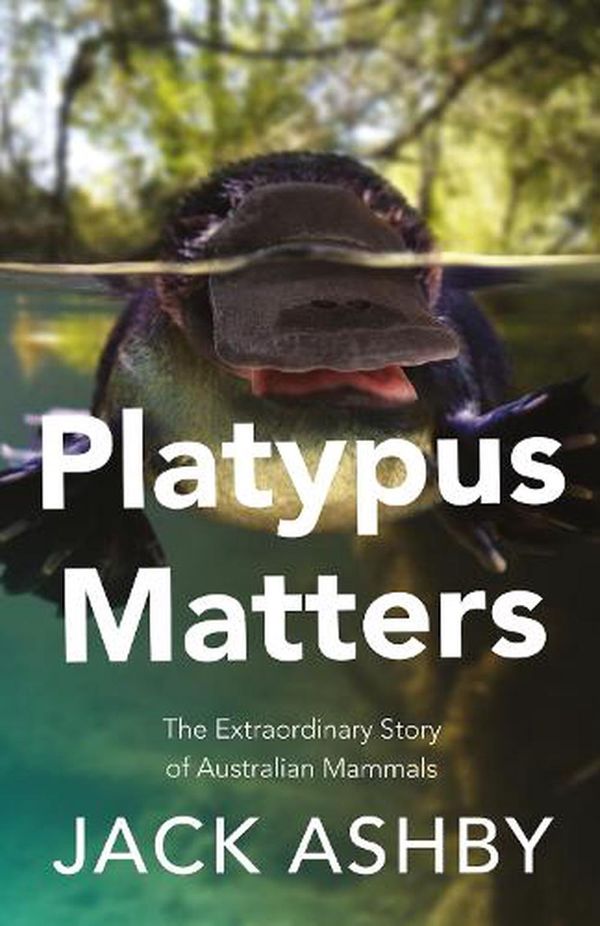 Cover Art for 9780008431440, Platypus Matters by Jack Ashby