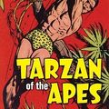 Cover Art for 9780199587032, Tarzan of the Apes by Edgar Rice Burroughs