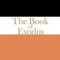 Cover Art for 9781611644715, The Book of Exodus by Brevard S. Childs