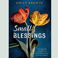 Cover Art for 9780369312501, Small Blessings: Through the unlikeliest of friendships comes a second chance (16pt Large Print Edition) by Emily Brewin
