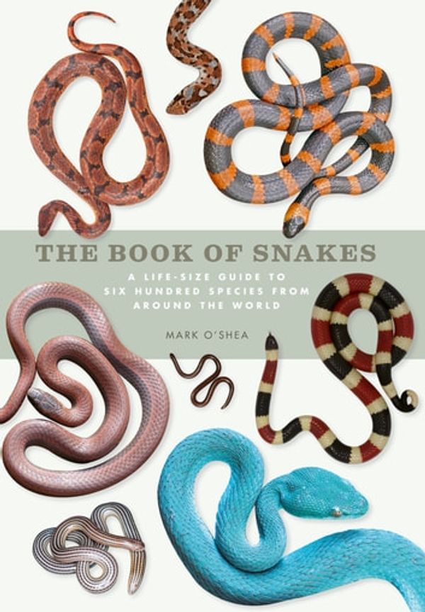 Cover Art for 9781782407072, The Book of Snakes by Mark O'Shea