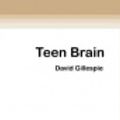Cover Art for 9780369303219, Teen Brain by David Gillespie