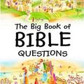 Cover Art for 9780796306968, The Big Book of Bible Questions by Sally Ann Wright