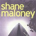 Cover Art for 9781876485313, Stiff by Shane Maloney