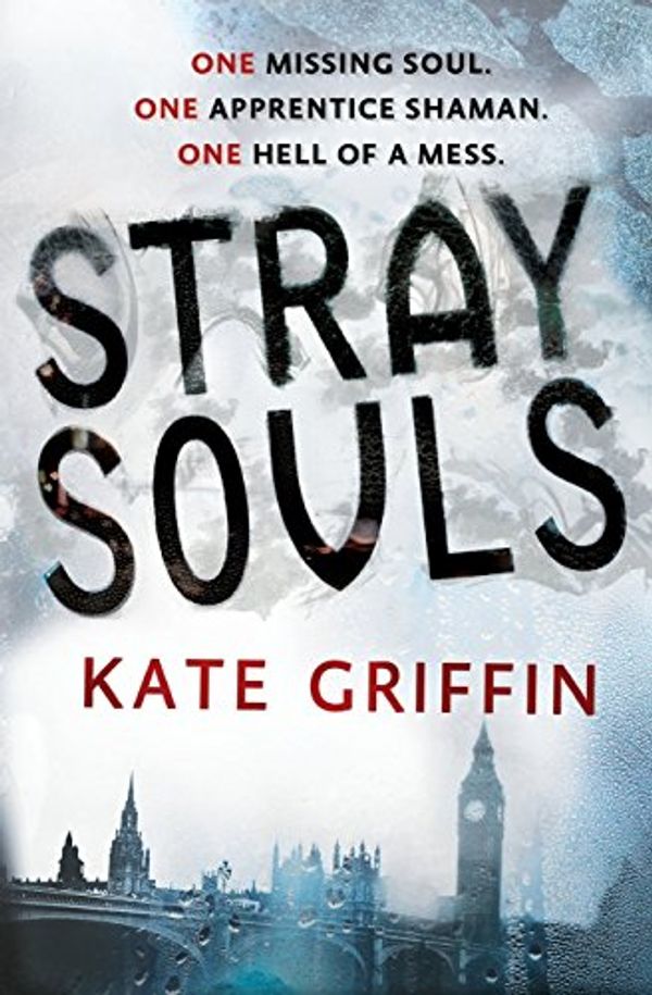 Cover Art for 9780316187268, Stray Souls by Kate Griffin