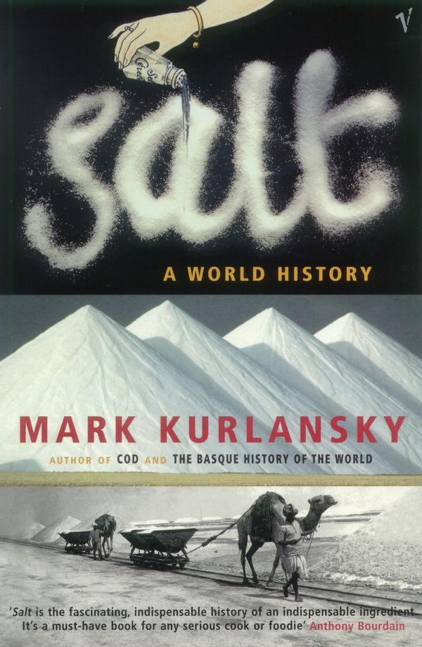 Cover Art for 9780099281993, Salt by Mark Kurlansky