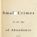 Cover Art for 9781400079575, Small Crimes in an Age of Abundance by Matthew Kneale