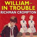 Cover Art for 9781509805327, William in Trouble by Alex T. Smith