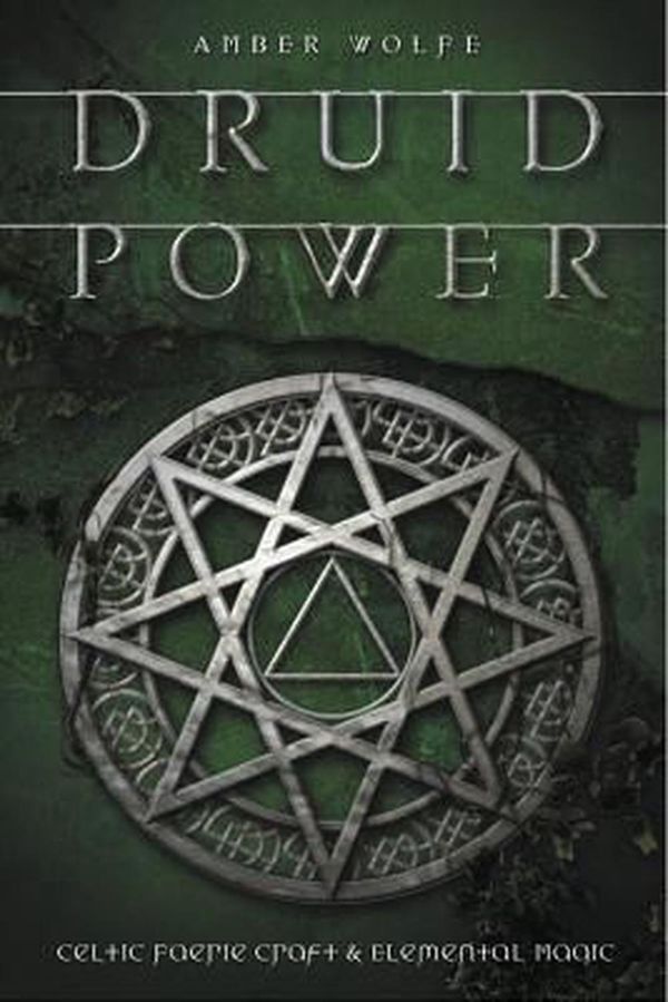 Cover Art for 9780738705880, Druid Power by Amber Wolfe