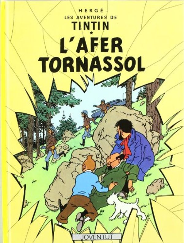 Cover Art for 9788426110602, L'Afer Tornassol by Herge-tintin Catalan