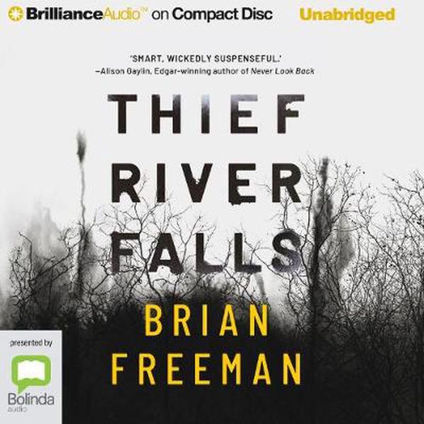 Cover Art for 9781799755111, Thief River Falls by Brian Freeman