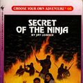 Cover Art for 9780553168587, Secret of the Ninja (Choose Your Own Adventure #66) by Jay Leibold